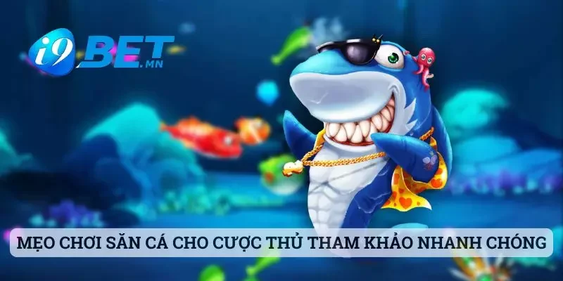 Mẹo chơi săn cá cho cược thủ tham khảo nhanh chóng